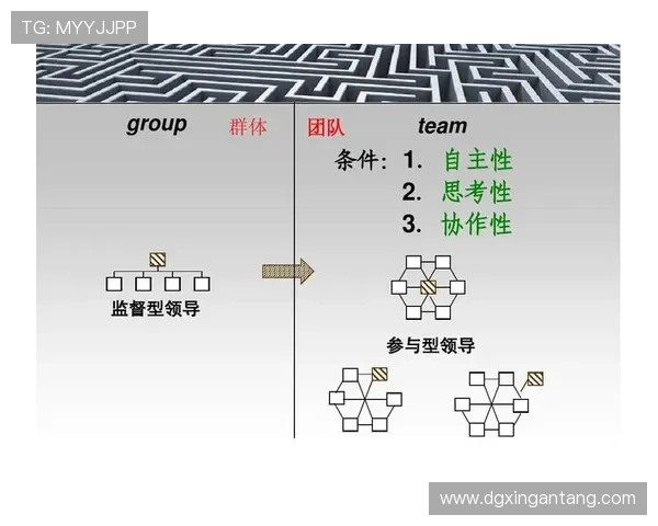 上海羽毛球队配合表现数据分析揭示团队协作与战术执行的关键因素 上海羽毛球队配合表现数据分析揭示团队协作与战术执行的关键因素