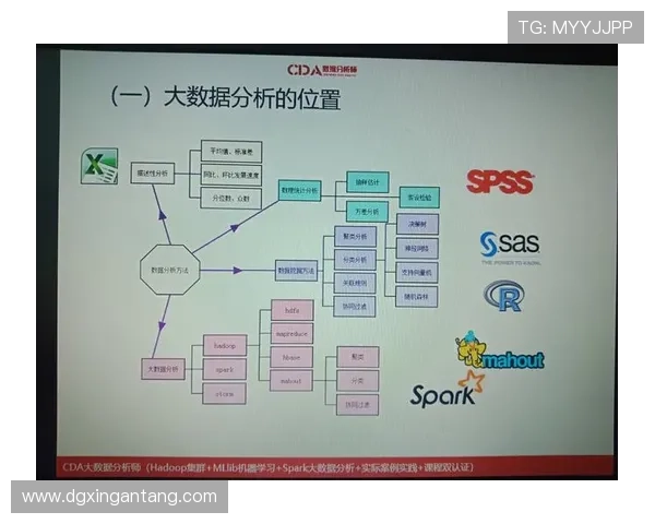 西安排球队节奏表现的数据分析与战术探讨 西安排球队节奏表现的数据分析与战术探讨