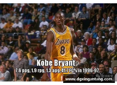 NBA2013赛季：顶级球员与新秀的辉煌对决