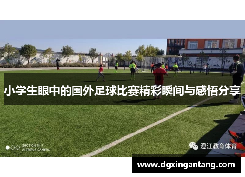 小学生眼中的国外足球比赛精彩瞬间与感悟分享